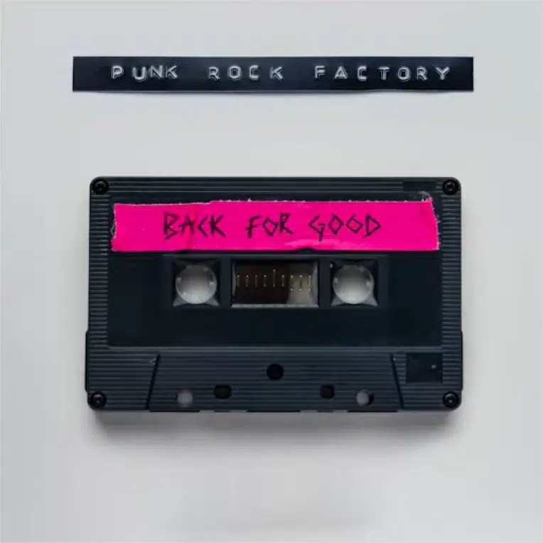 Artwork for Punk Rock Factory's "Back For Good" cover.